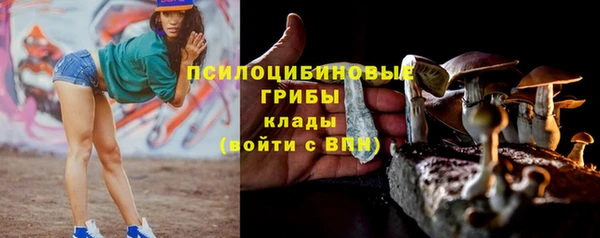 стафф Алексеевка