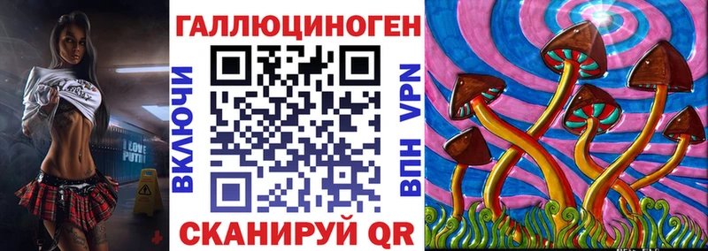 где найти наркотики  ОМГ ОМГ рабочий сайт  Псилоцибиновые грибы Cubensis  Зверево 
